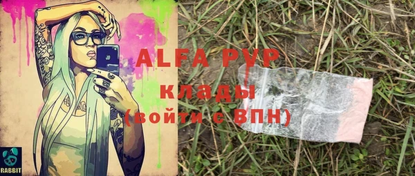 хмурый Алзамай
