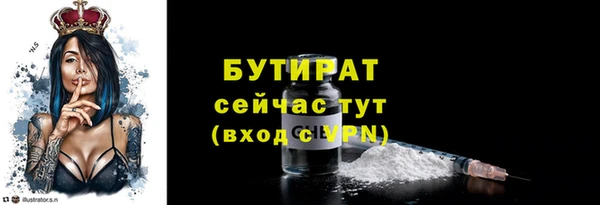 прущие грибы Михайловск