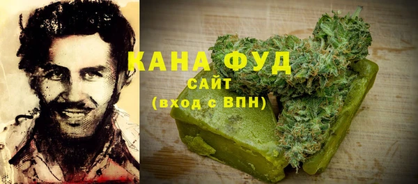 хмурый Алзамай