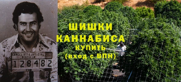 ГАЛЛЮЦИНОГЕННЫЕ ГРИБЫ Алексеевка
